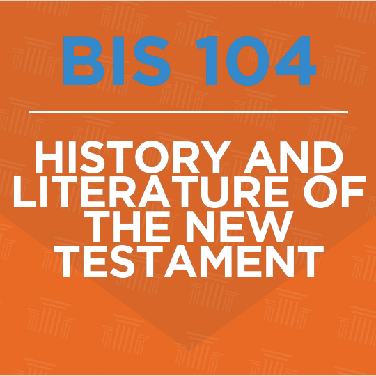 BIS 104